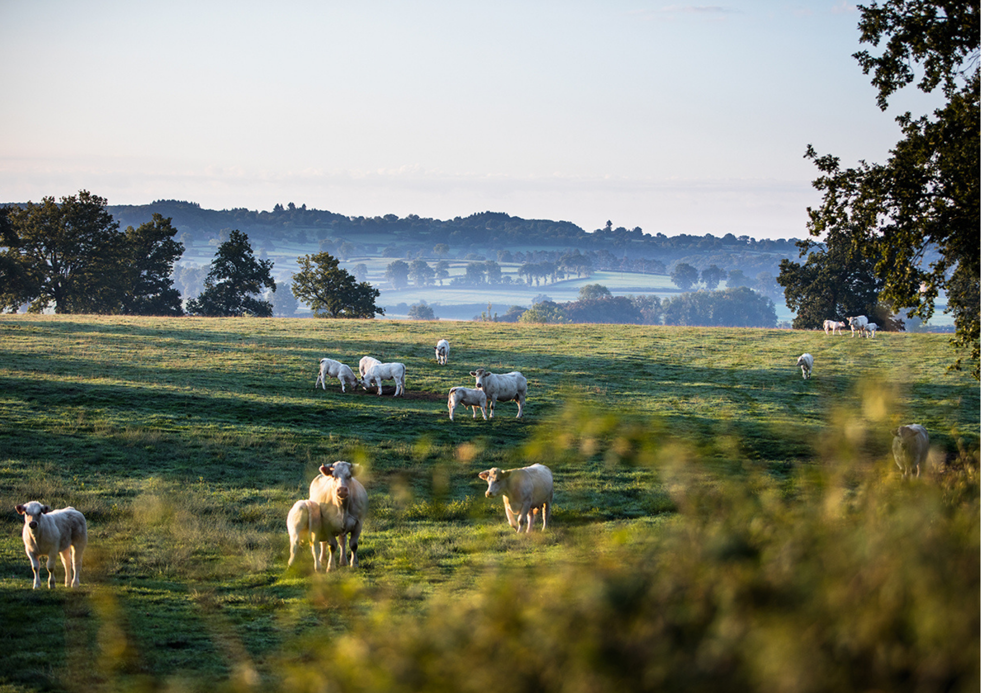 paysage