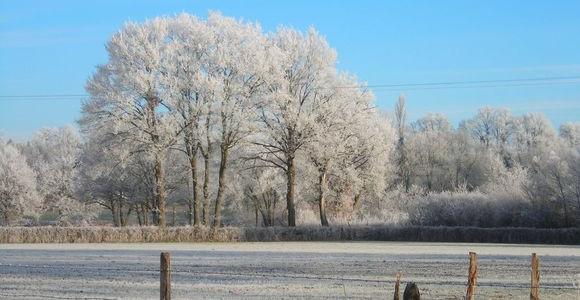 paysage hivernal