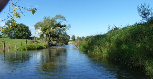 l 'arconce